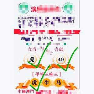 新澳门精准资料免费,数据解释落实_整合版121,127.13