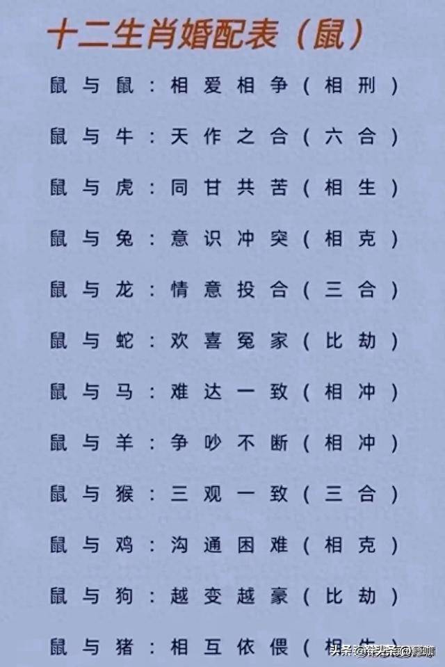 香港特马开马开奖结果十二生肖图,最新热门解析实施_精英版121,127.13