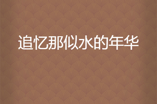 追忆似水年华,数据整合方案实施_投资版121,127.13