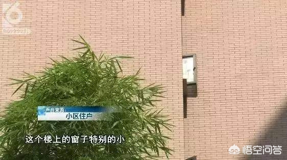 15岁初中生在校坠亡，15岁初中生在校坠亡怎么办