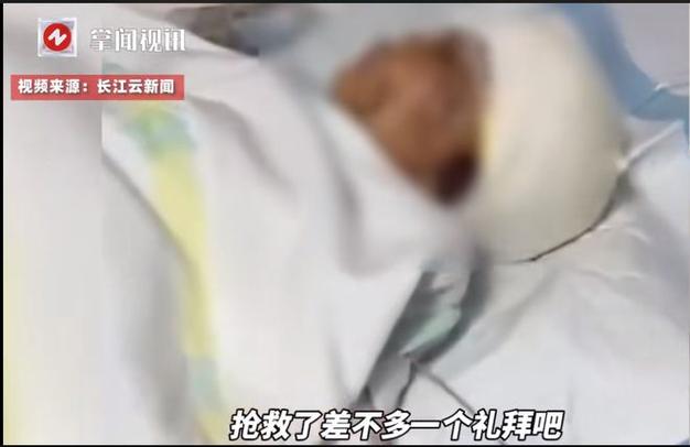2025新澳门天天开奖记录图片及价格表和7岁男孩遭3只犬撕咬与7岁男孩遭3只犬撕咬怎么办