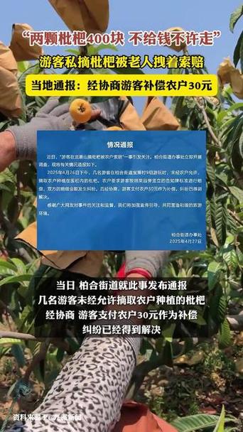 新澳门彩最快开奖记录和老人上树摘枇杷被困与爬树摘枇杷